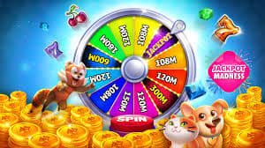 c54311